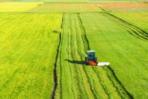 02_25.09_29967171_l-300×200